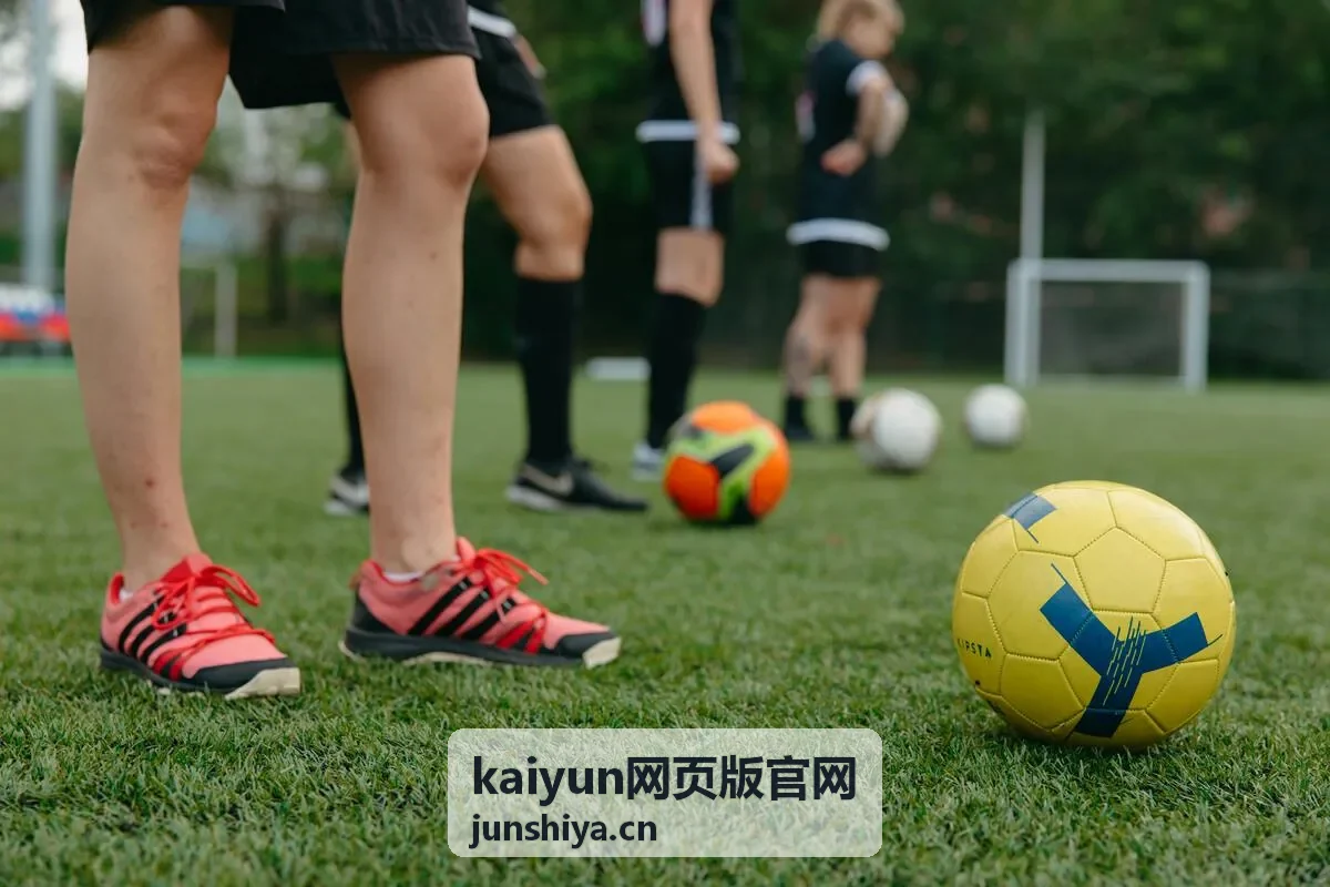 kaiyun网页版官网网页版登录入口示意封面