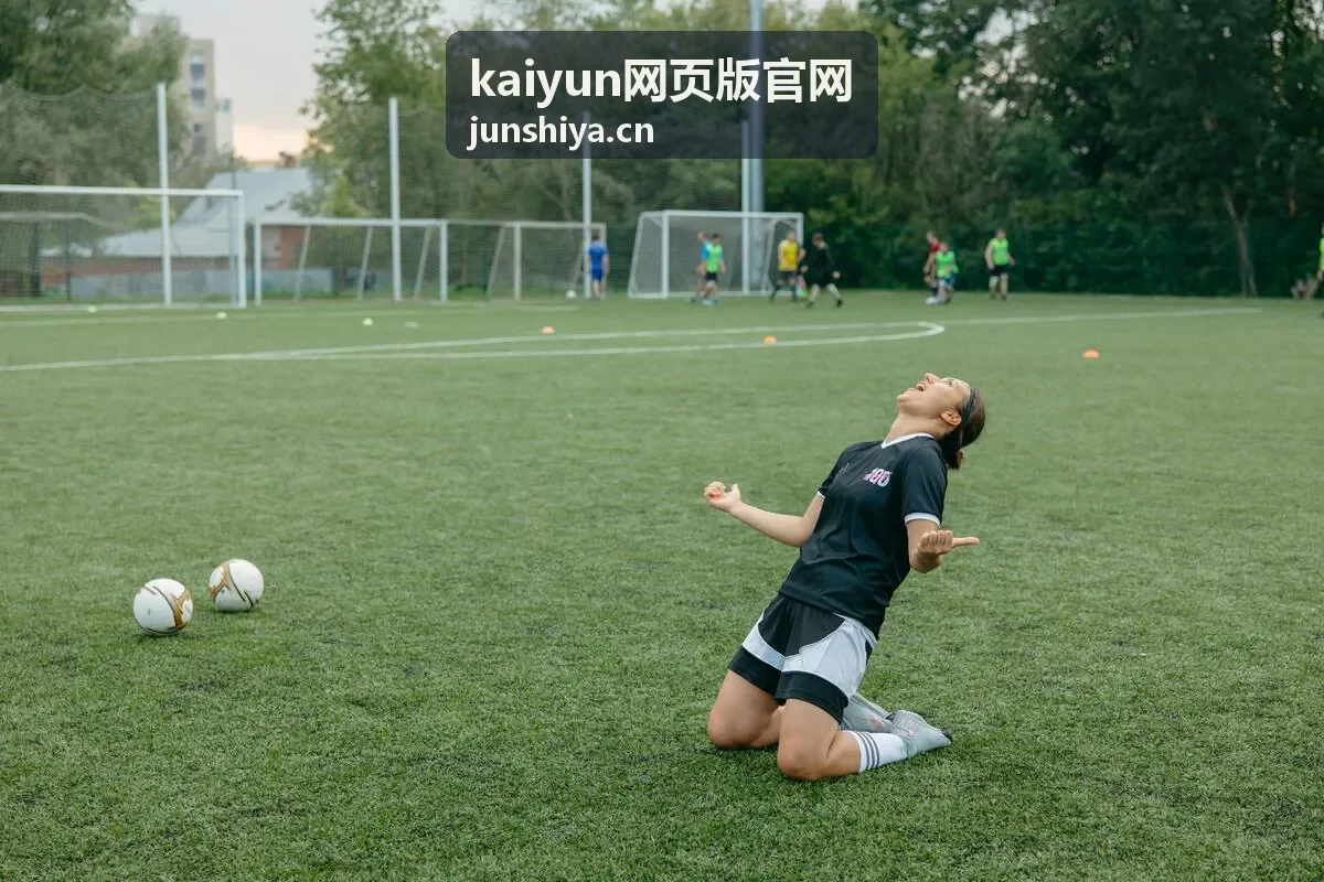kaiyun网页版官网入口收藏与找回封面